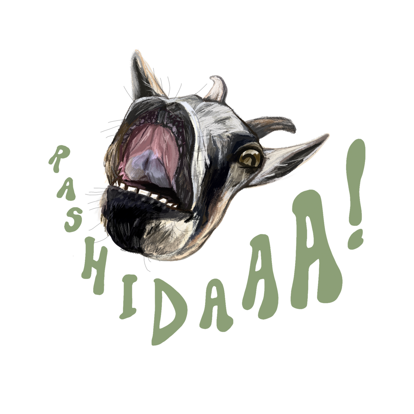 Rashida Sticker