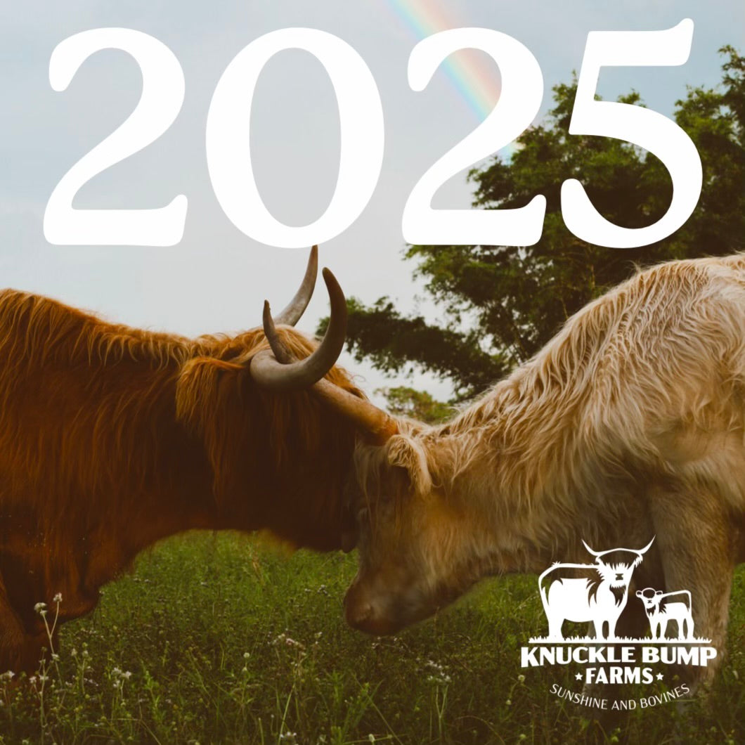 2025 Highland Cow Calendar Knuckle Bump Farms 2025-highland-cow-calendar-knuckle-bump-farms