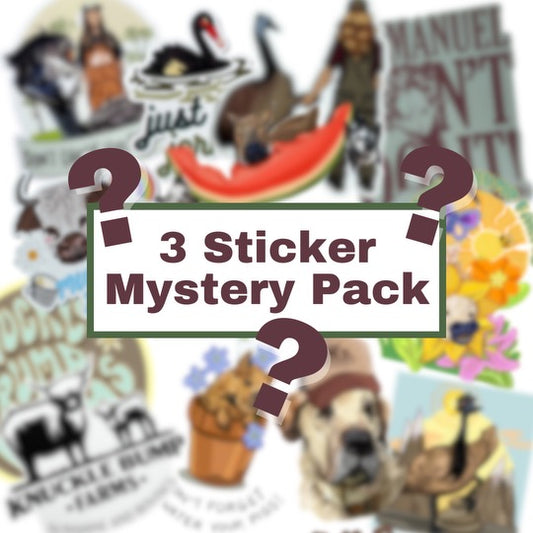 Mystery Sticker PACK! (Includes 3 Stickers)